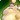 Fat moogle icon1.png