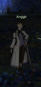 Anggir