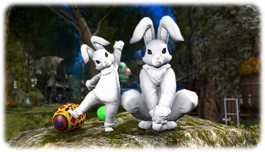 Rabbit Suit Set1.jpg