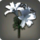 Gamelia Bloom Icon.png