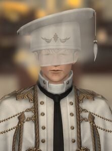 Outraged Councilor