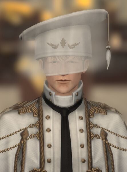 File:Outraged Councilor.jpg