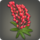 Red lupin corsage icon1.png