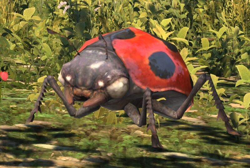 File:Carrier Ladybug.jpg