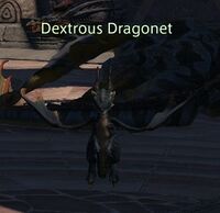 Dextrous dragonet.jpg