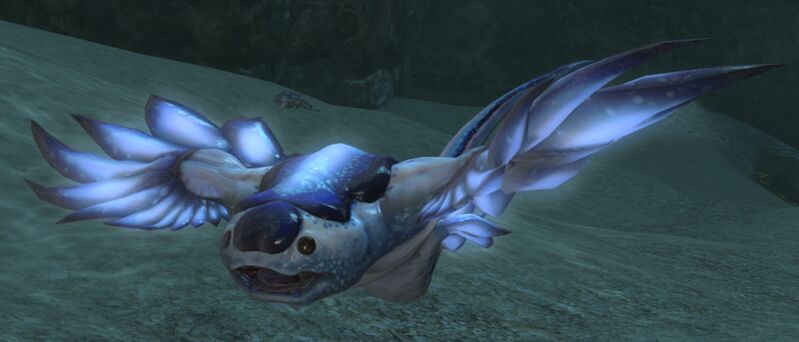 File:Wild Swallow.jpg