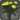 Yellow carnations icon1.png