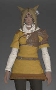 Custom-made Tunic front.png
