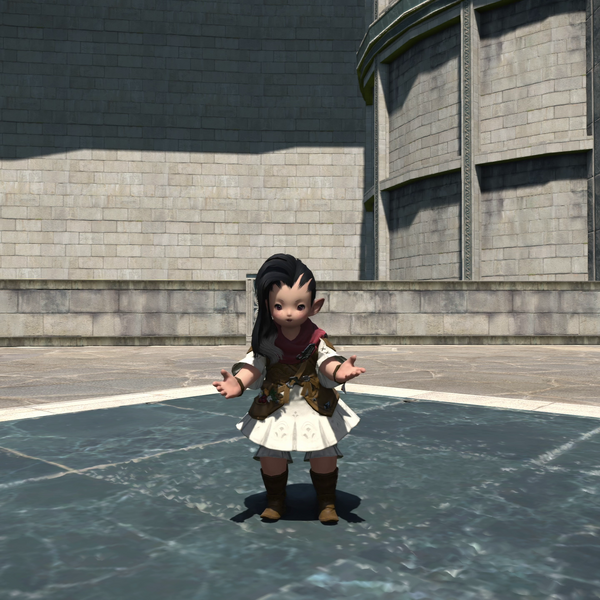 File:Insist Emote.png