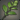 Infested Plant
