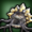 Yellow Coblyn icon1.png