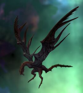 Malformed Dragonet