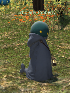 Scholarly Tonberry