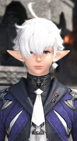 Portrait for Heavensward