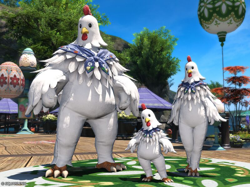 File:Chicken Attire2.jpg