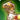 Draught chocobo icon1.png