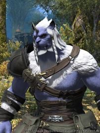 Hrothgar - Final Fantasy XIV Online Wiki - FFXIV / FF14 Online ...