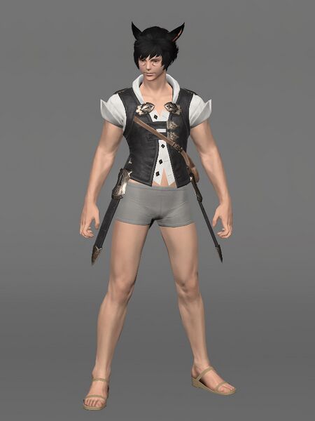 File:Miqo'te Vest Male.jpeg