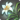 Moon Daisy Icon.png
