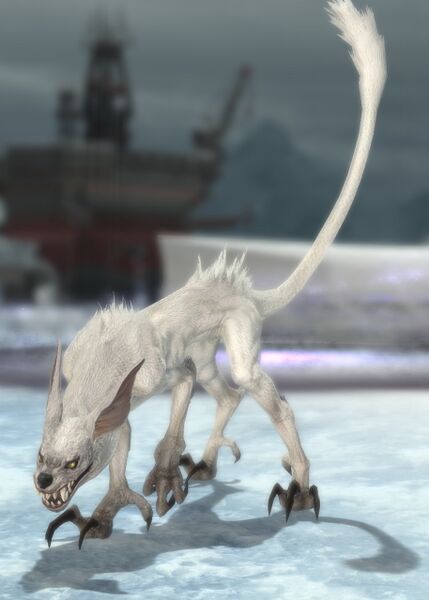 File:Hungry Canis Lupinus.jpg