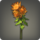 Orange chrysanthemums icon1.png