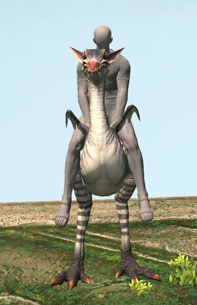 File:Deinonychus front.jpg