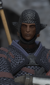Proving Grounds Guard