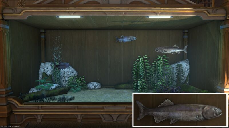 File:Aquarium Preview Shadowdart Sardine.jpg