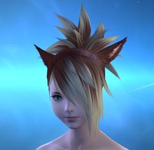 Hairstyles Final Fantasy Xiv A Realm Reborn Wiki Ffxiv Ff14 Arr Community Wiki And Guide