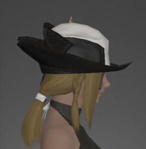 Company Hat right side.png