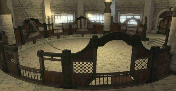 The training arena beneath the guild.