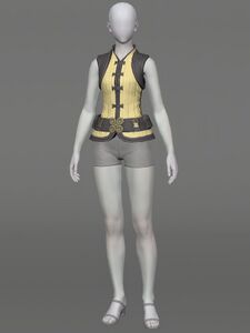 Vintage Doublet Vest