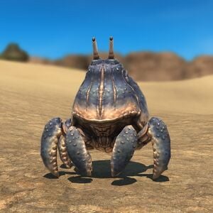 Crab