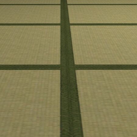 Tatami Flooring detail.jpg