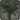 Black carnations icon1.png