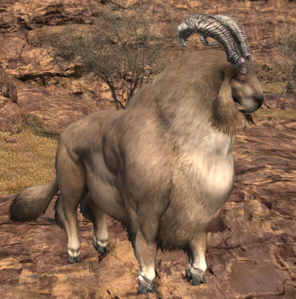 File:Ravenous Billygoat.jpg