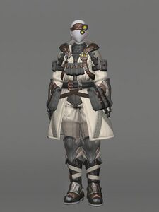 Royal Volunteer's Attire of Aiming
