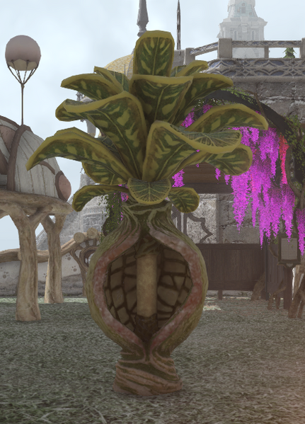 File:Alzadaal's Garden Lamp front.png