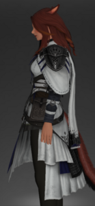 Neo Kingdom Tabard of Fending left.png