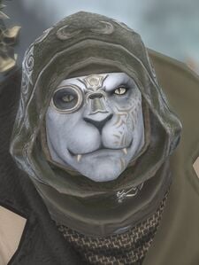 Resistance Fighter (Magna Glacies Thaumaturge)