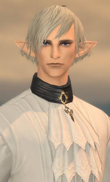 File:Elezen Man.jpg