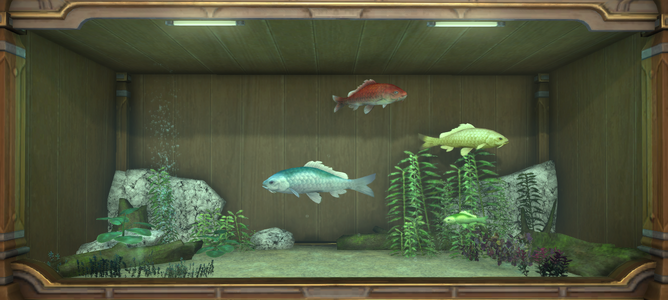 Red, Yellow, Blue and Green prismfish