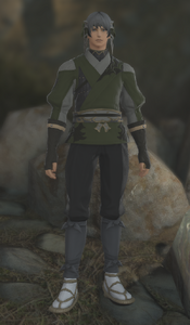 Doman Attendant