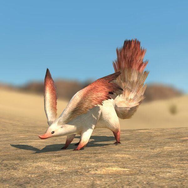 File:Squirrel (Beast) Glamoured.jpeg