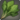 Watercress icon1.png
