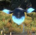 Thumbnail for version as of 11:48, 19 October 2026