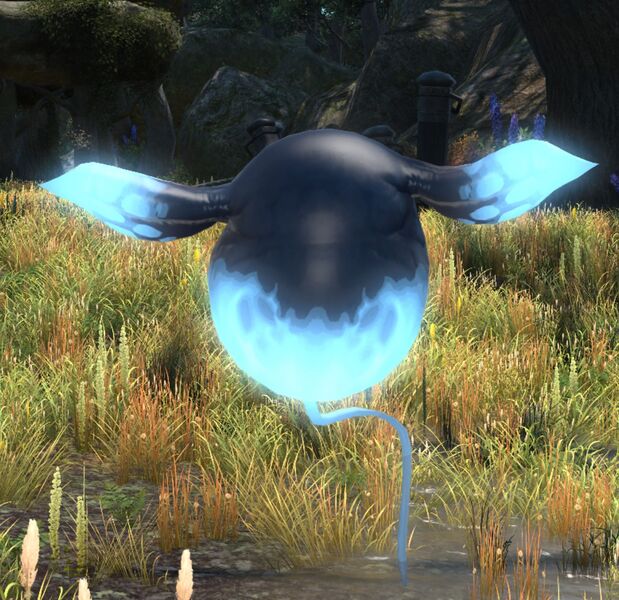 File:Amdapori Wraith.jpg