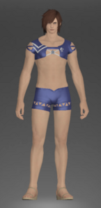 Blue Summer Top and Trunks.png