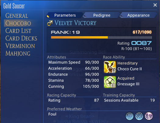 Chocobo Racing - Final Fantasy XIV Online Wiki - FFXIV / FF14 Online ...