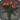 Red carnations icon1.png